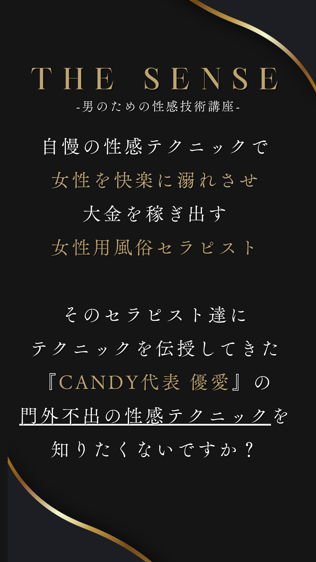 THE SENSE - 男のための性感技術講座